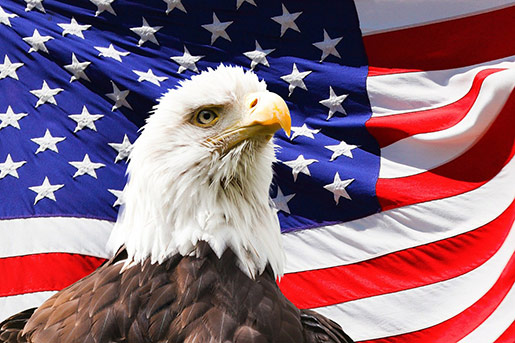 The Bald Eagle is adopted by Congress as the national bird.