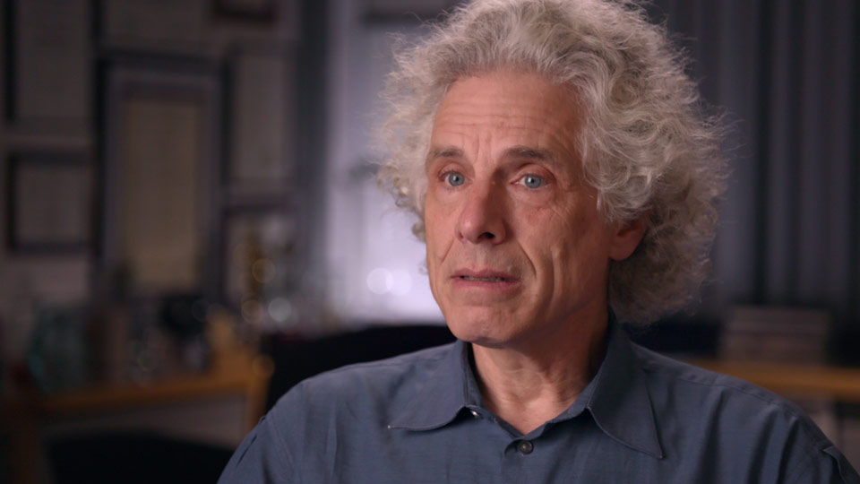 Steven Pinker, Johnstone Professor of Psychology